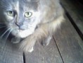 /album/our-animal-pics/picture-517-jpg/